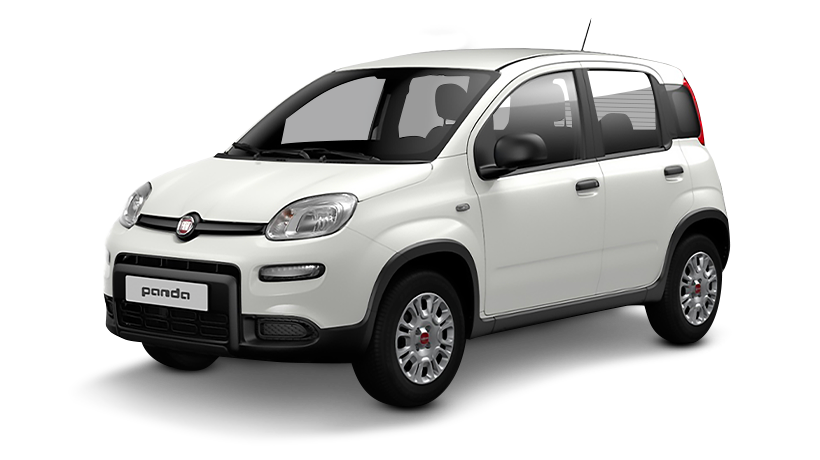 Fiat Panda or similar